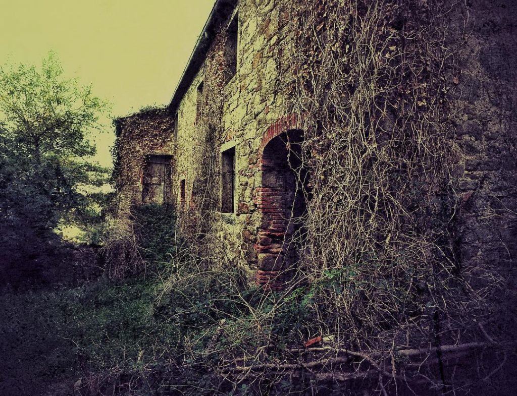 #fotoartistiche #bnesimppl #fotartplgz #pierluigizag Edited with: @carbonblackandwhite _ #landscape #amazing #view #trip #tree #sky&hellip;