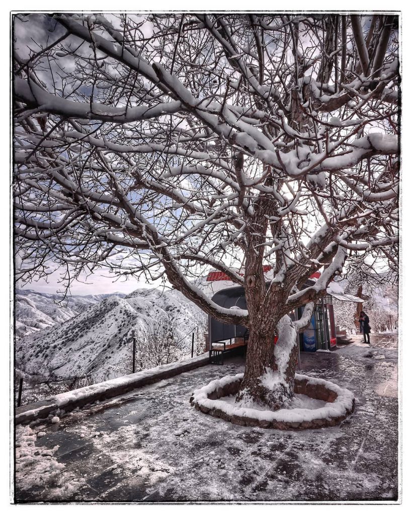 ⠀ ⠀ ⠀ ⠀ ⠀⠀ ⠀ ⠀ ⠀ ⠀ ⠀⠀ ⠀ ⠀ ⠀⠀ ⠀⠀&hellip;