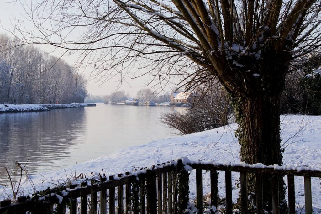 Look Back to the snowday in the north . . . . . .&hellip;