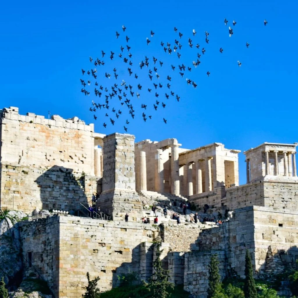 Buenas tardes, seguimos en Grecia visitando ruinas antiguas. Todavía no salimos pero estamos en&hellip;