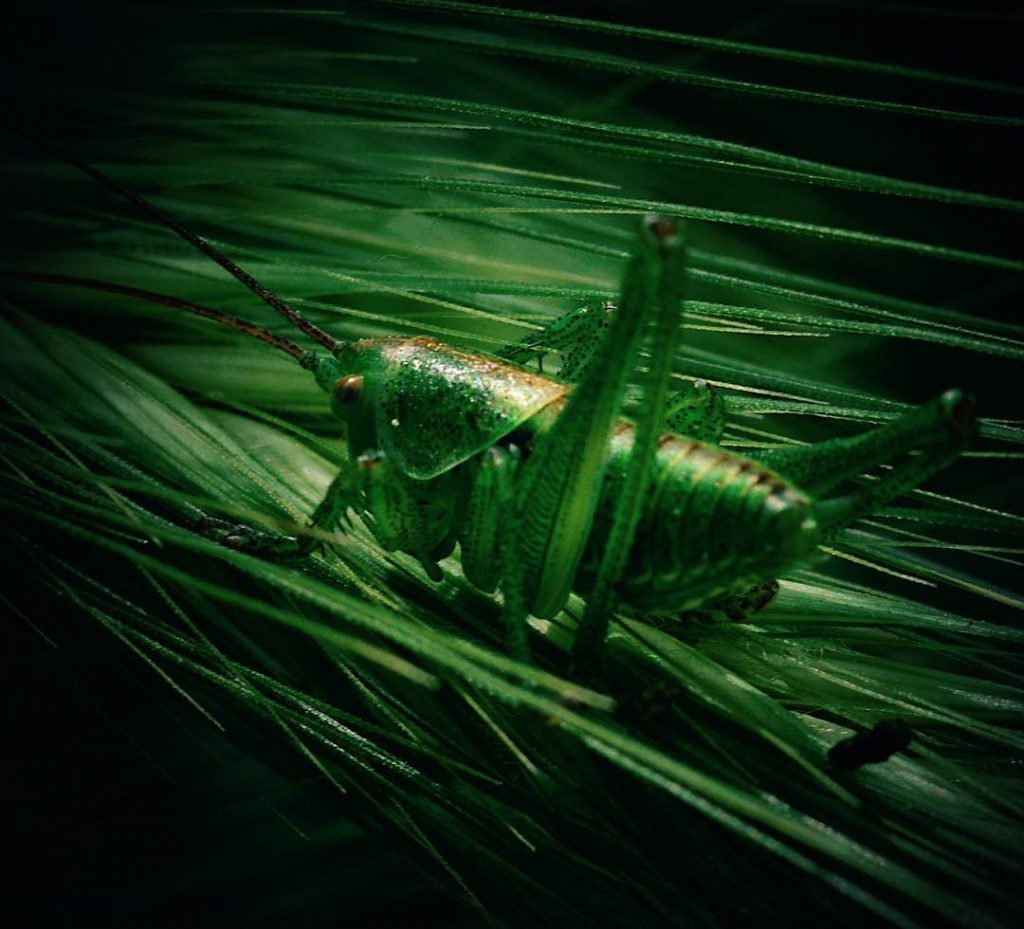 #fotoartistiche #bnesimppl #fotartplgz #pierluigizag Edited with: @carbonblackandwhite _ #weather #skylovers #natureporn #amazing #skypainters #gf_daily&hellip;