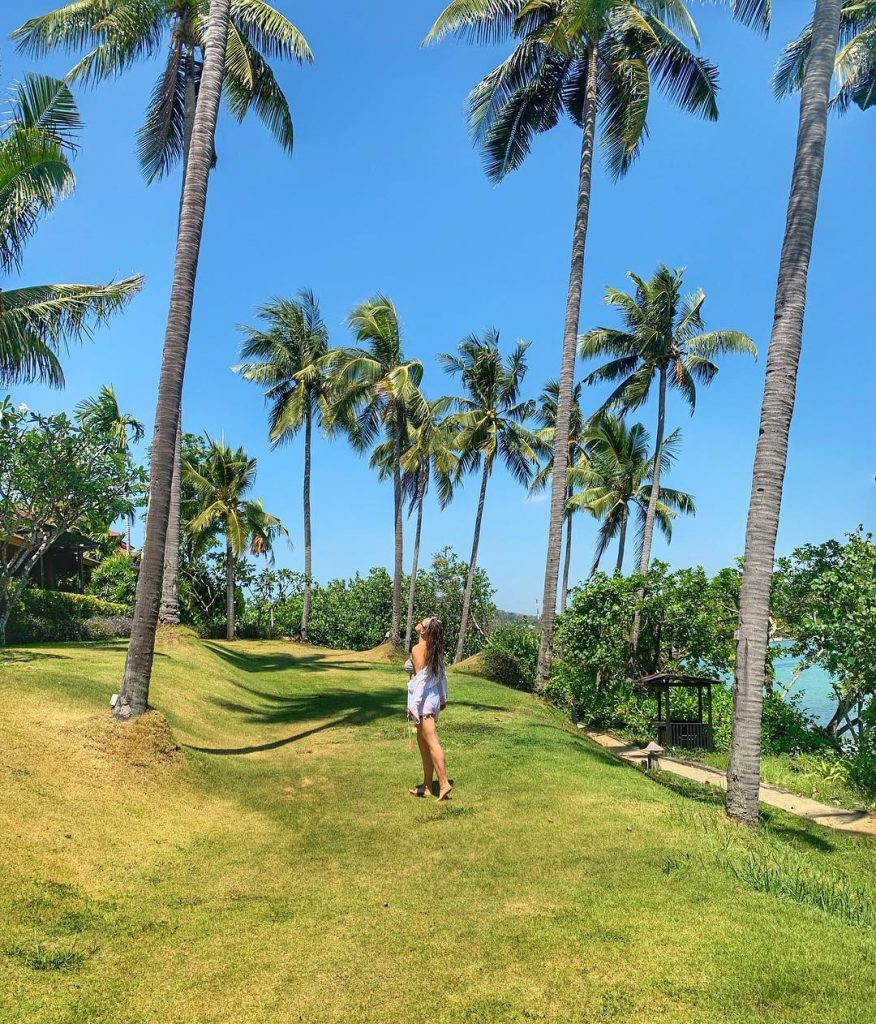 My first plan when I came in Phuket was to visit Phi Phi Island.&hellip;