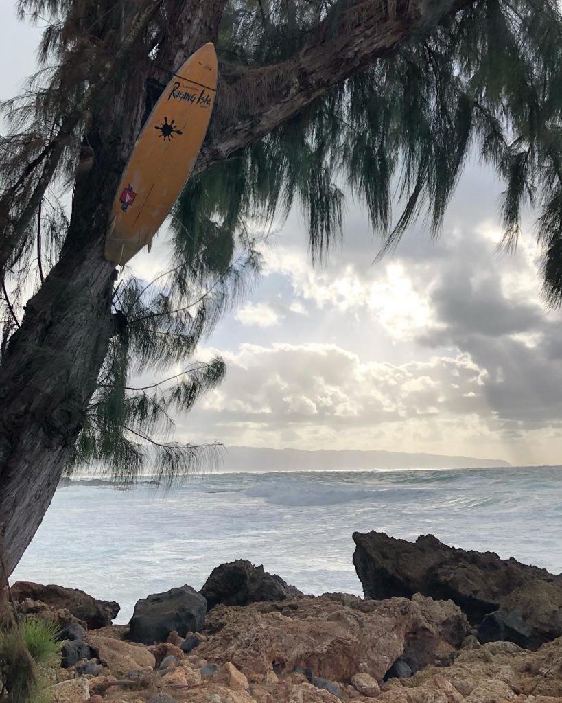 Beauty is power, a smile is it’s sword. Still one of the coolest spots&hellip;