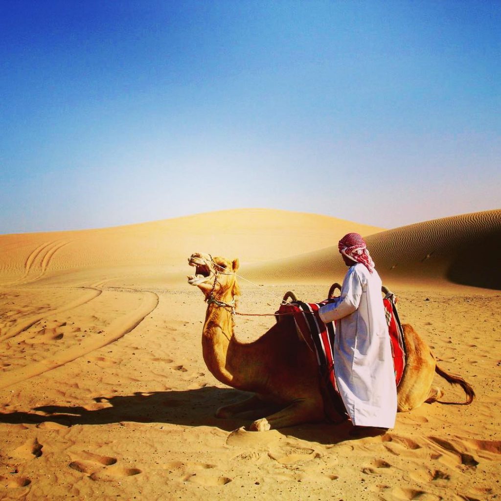Seems the camel is not happy #abudhabi #camel #desert #sand #uae #bnesimppl #nature #naturephotography&hellip;