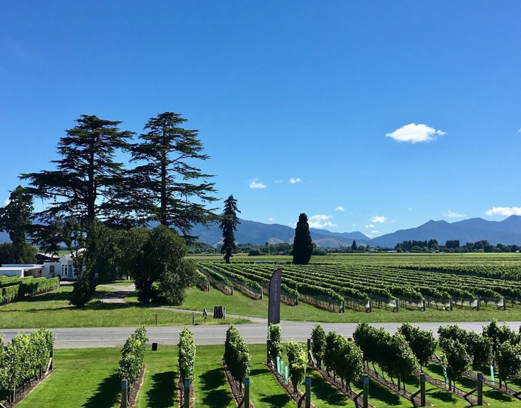 Marlborough, New Zealand #csmidlifegapyear #memories #travel #travelblogger #travelbug #tbt #photo #adventure #amemoryaday #photooftheday #apictureaday &hellip;