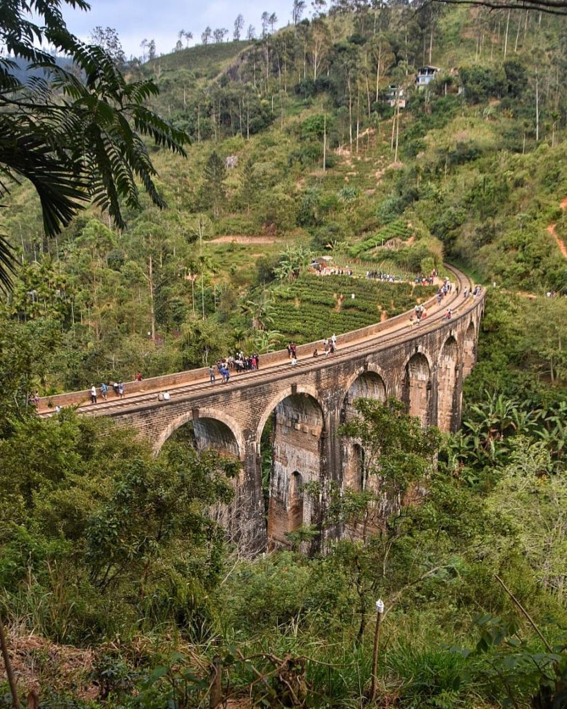 Bridge Over Shrubbled Water #srilanka #ella #architecture #greentea #스리랑카 #풍경