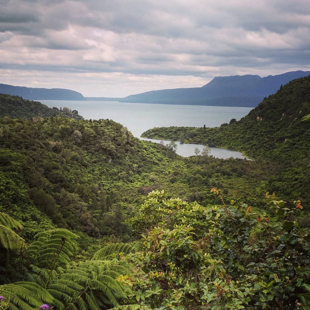Enjoying the #beauty of #newzealand #scenic #travel #views #travelstagram #travelblogger #picturesque absolutely spendid daynout&hellip;