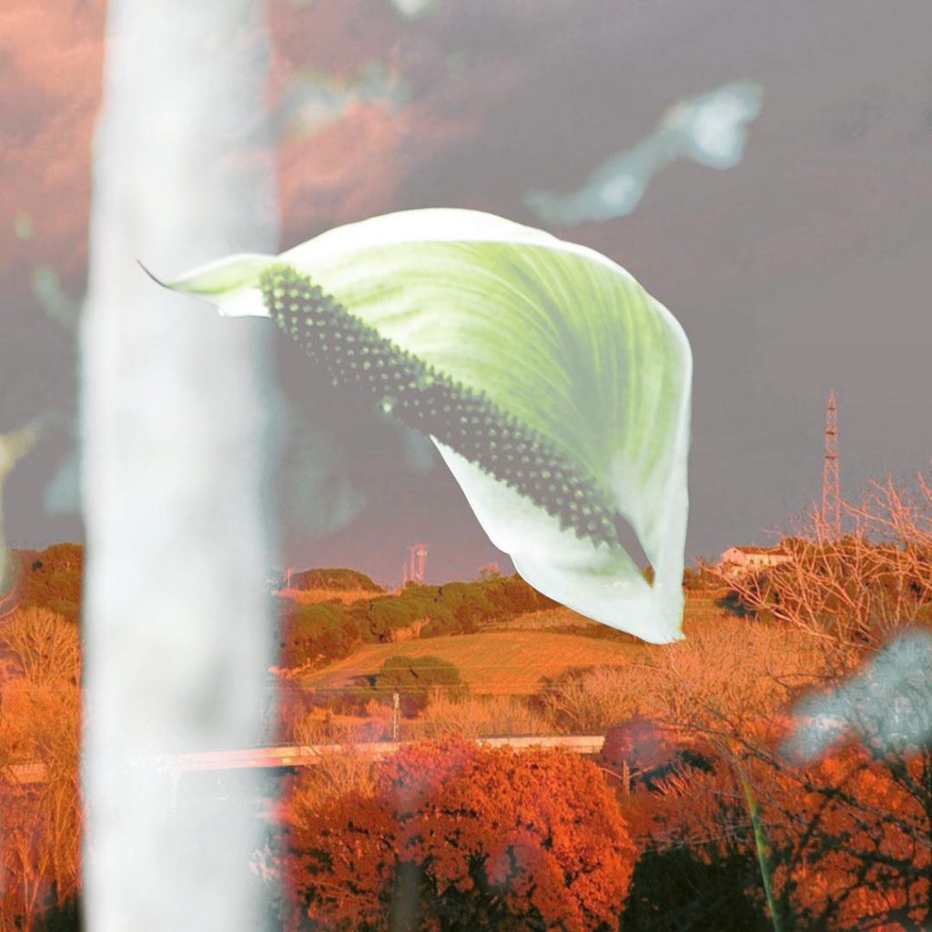 Abres los ojos para ser consciente de un aquí y un ahora aletorios que&hellip;