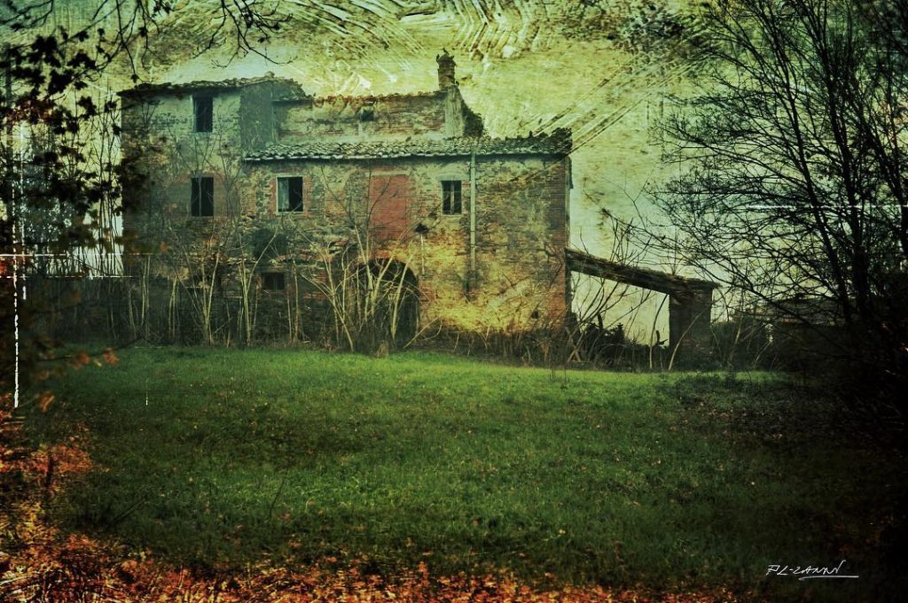 #fotoartistiche #bnesimppl #fotartplgz #pierluigizag #valdichiana Edited with: @carbonblackandwhite _ #landscape #amazing #view #trip #tree&hellip;