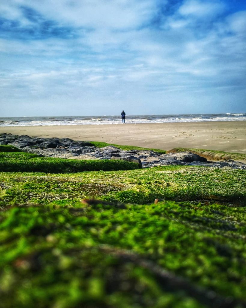 What a great Day to celebrate your birthday #the_mobile_gallery #bnesimppl #pic #picoftheday #photo #photooftheday&hellip;