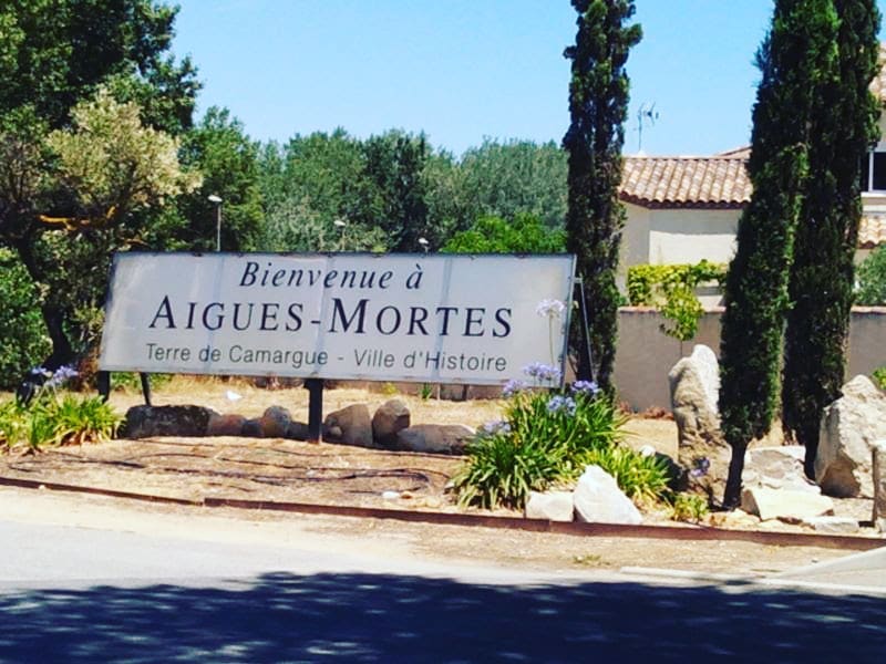 #france #flamingo #aiguesmortes #travelvlog #travelers #szili_furgonnal_vlog #traveller #travelinsta #travelphoto #travelgram #travelblogger #travelphotography #trip #mytravelgram&hellip;