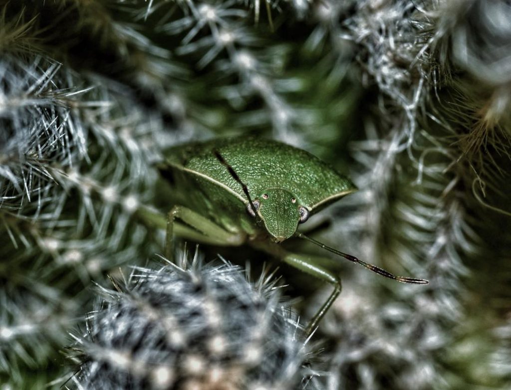 #fotoartistiche #bnesimppl #fotartplgz #pierluigizag #macro_world Edited with: @carbonblackandwhite _ #weather #skylovers #natureporn #amazing #skypainters&hellip;