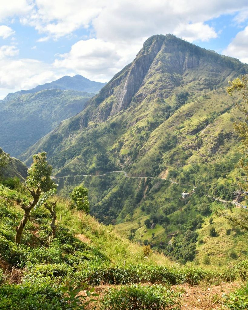 Little Adam’s Peak ???????? #srilanka #ella #hiking #스리랑카 #풍경 #하이킹