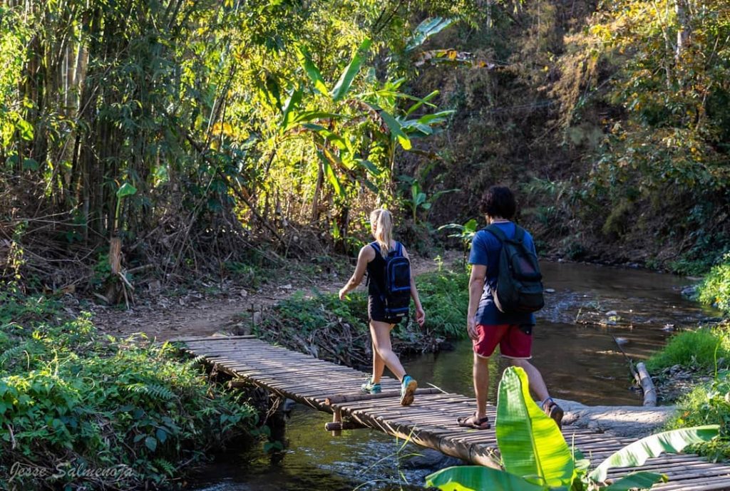 Another from the hike through Pais gorgeous wilderness #travelbug #travelling #travelphotography #travelgram #traveller #travel&hellip;