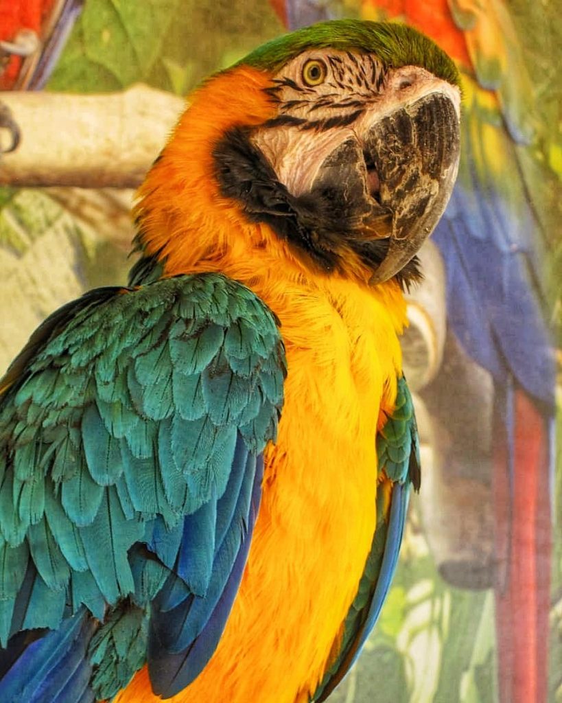 “FREEDOM is the power to choose our own CHAINS.” ___________________ . . . .&hellip;