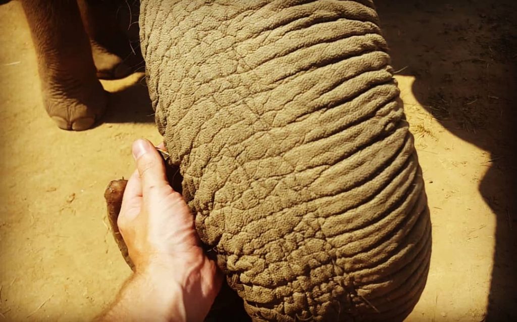 A sneak peak of tomorrow’s upload when I sort through the pictures. For now,&hellip;