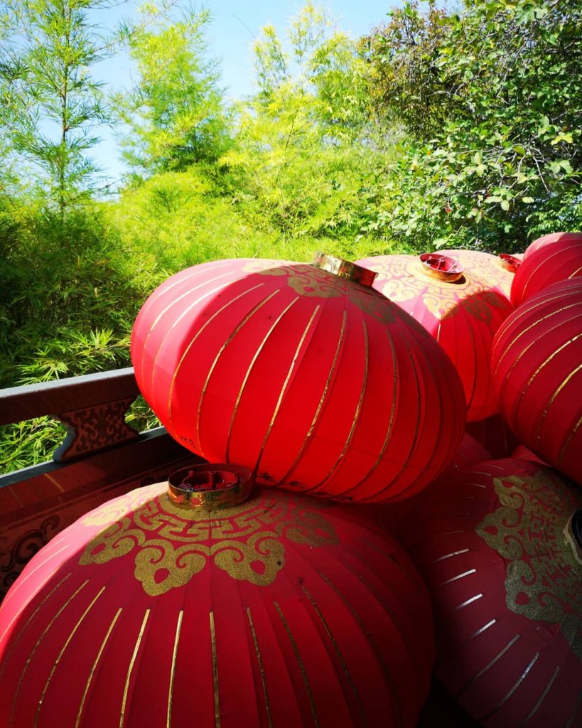 Red and greenery always the best Happy Chinese New year ???? . . .&hellip;