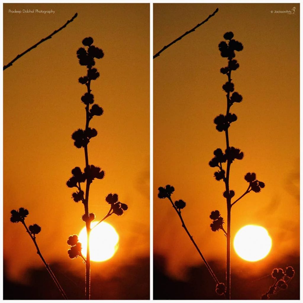Beautiful Evening Sunset ???????? : @ . . #eveningshot #goldenhour #goldenhourphotography #landscapephotography #landscape #jacksonartsstudios&hellip;