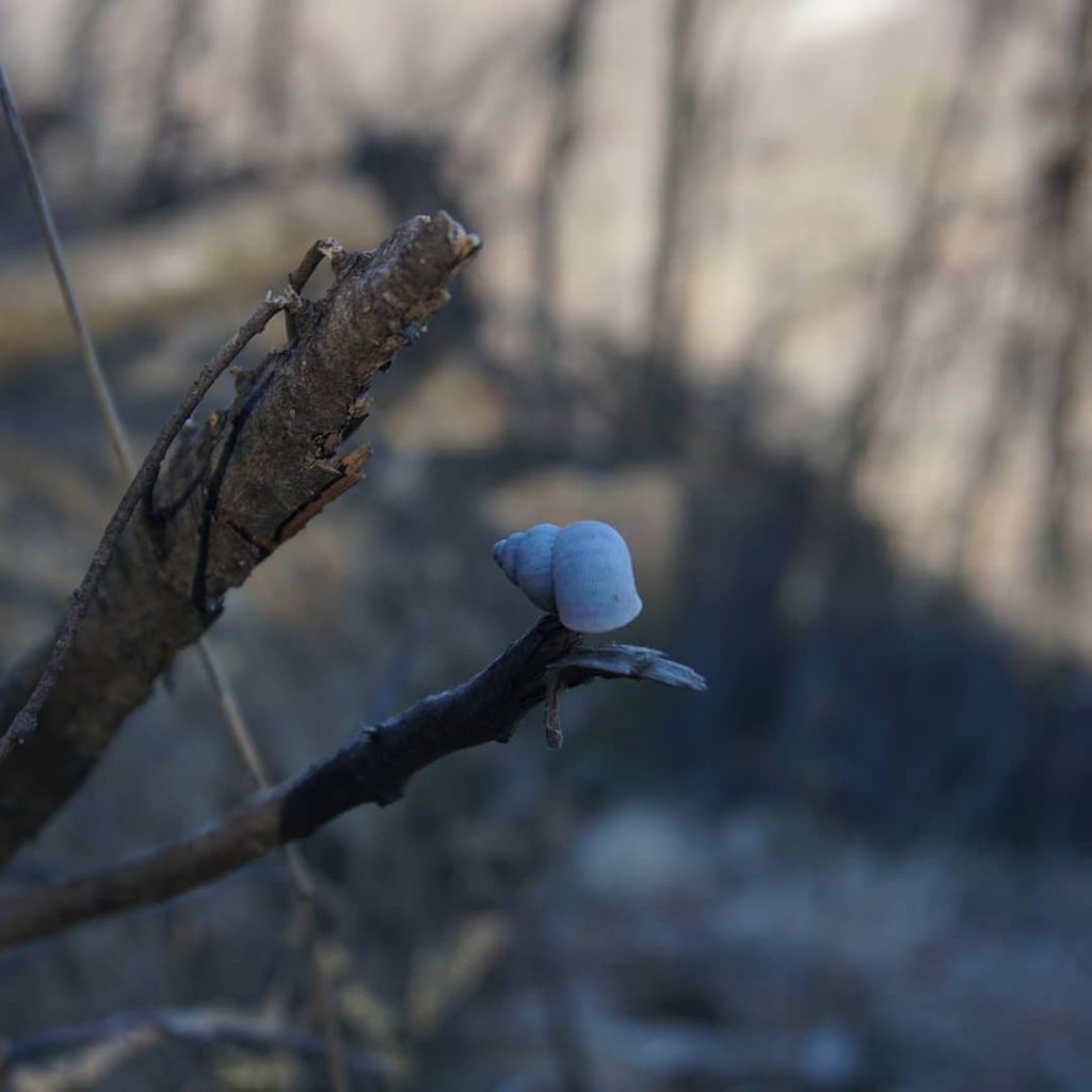 #discoveryourplanet #corsofotografico @solo_traveling #scenes_from_beautiful_cities #piclyphotography #photographerfocus #traveldestinations_ig #earthescope #travel #macro_highlight #thejetlagjunkie #travelldevill #globewandererrepost #travellingourplanet&hellip;