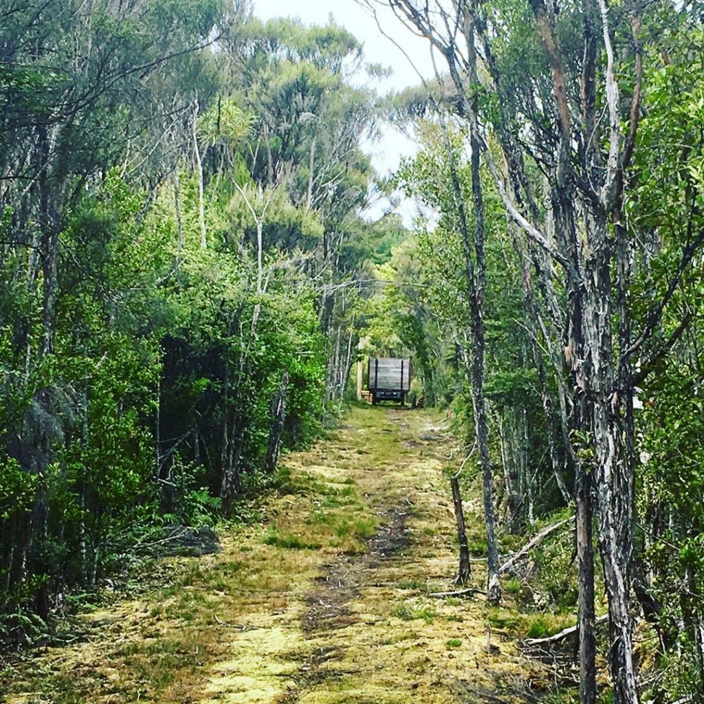 Alborns Coal Mine Track, Reefton; New Zealand #csmidlifegapyear #memories #travel #travelblogger #travelbug #tbt #photo&hellip;