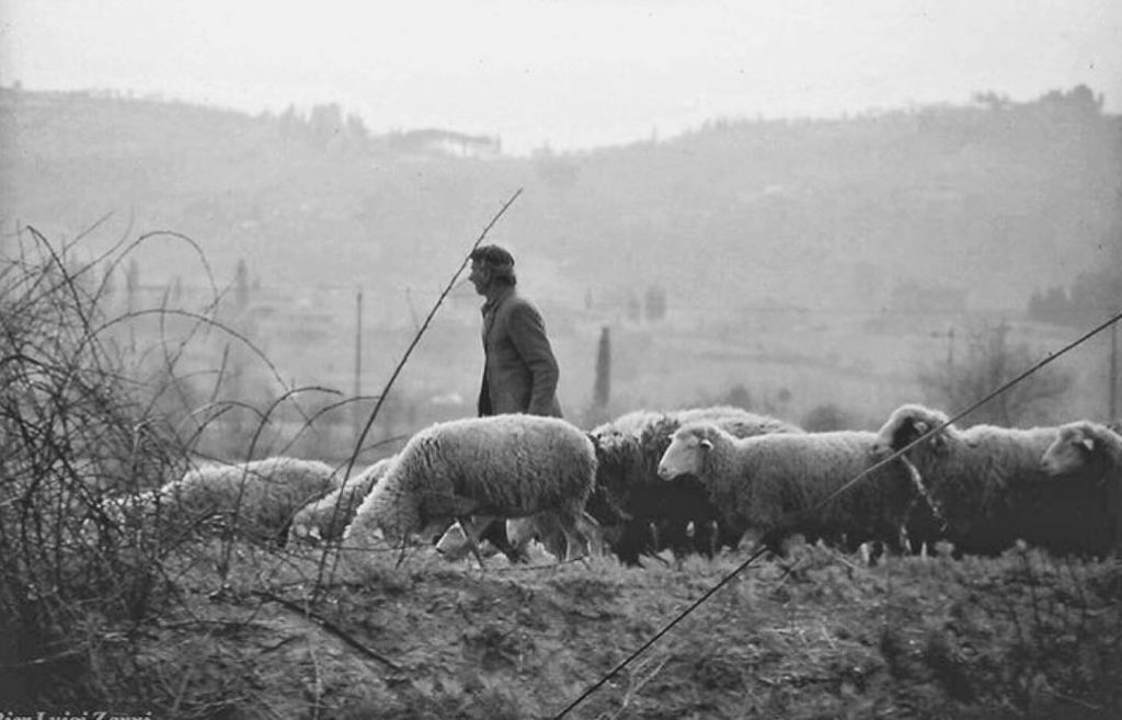 #fotoartistiche #bnesimppl #traveldestinations_ig Edited with: @carbonblackandwhite _ #landscape #amazing #view #trip #tree #sky #mountains&hellip;