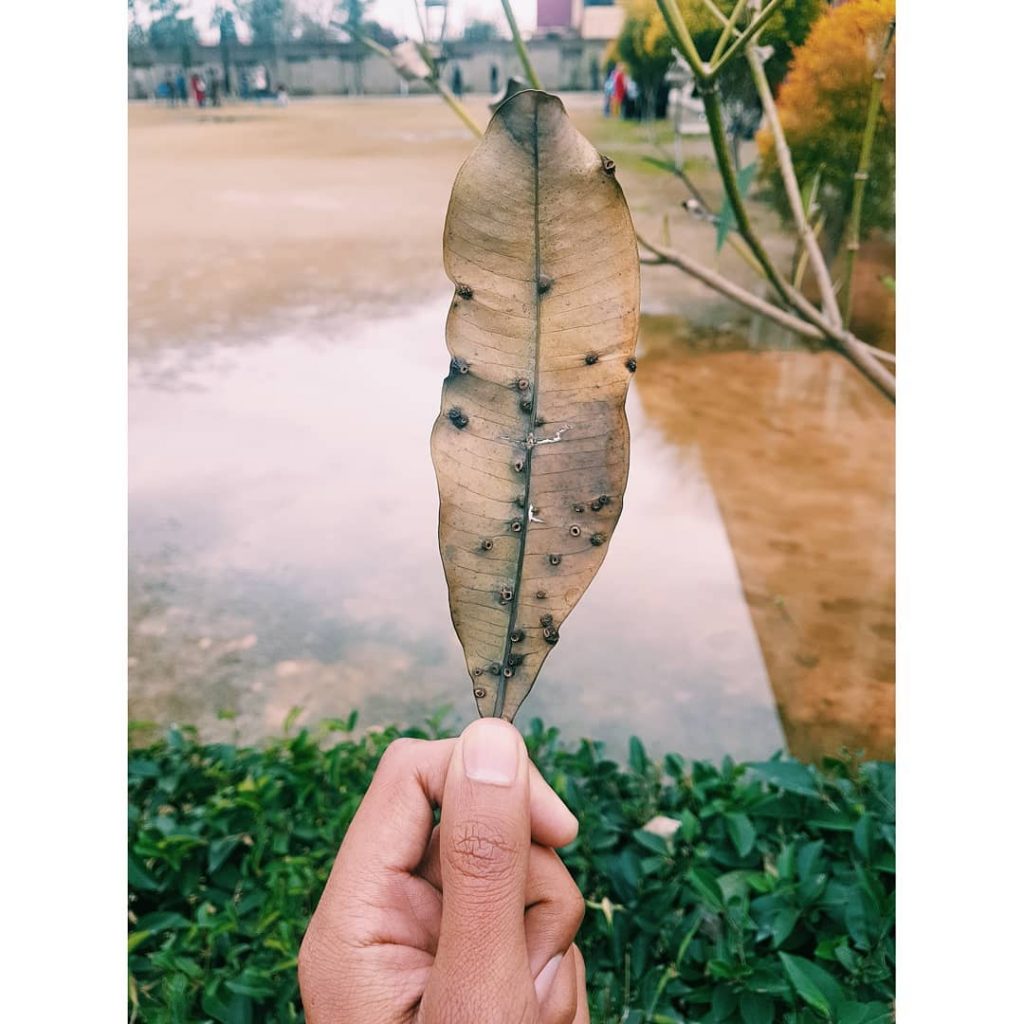 Random_Shots #naturephoto #main_vision #landscape_captures #awesome_earthpix #natureaddict #rsa_rural #awesomeearth #instanaturelover #earth_deluxe #modellife #moodyports #modelling #fitmodel&hellip;