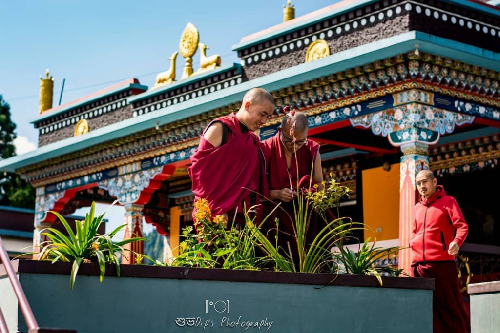 | | Gardening Time | | Nikon D5200, 50mm – #capturetomorrow #dslr_official #dslrofficial #travelphotography&hellip;