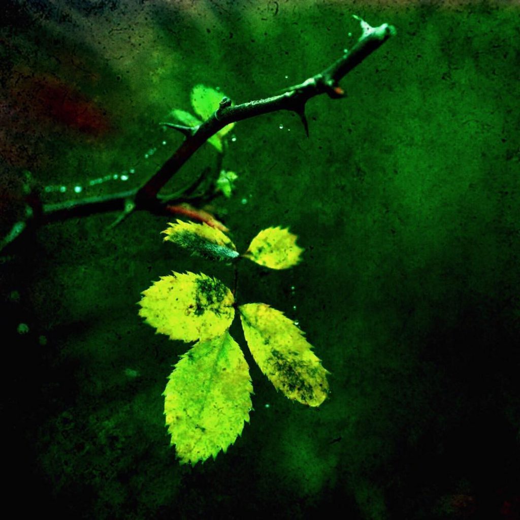 #fotoartistiche #bnesimppl #fotartplgz #pierluigizag Edited with: @carbonblackandwhite _ #weather #skylovers #natureporn #amazing #skypainters #gf_daily&hellip;