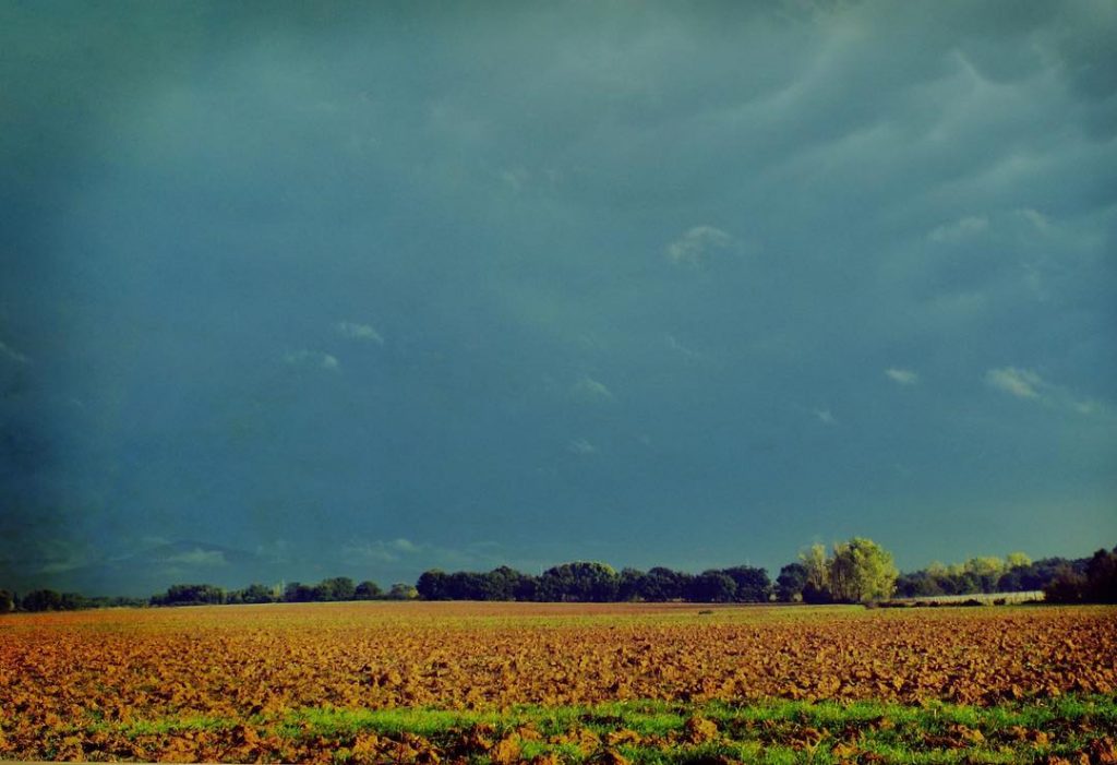 #fotoartistiche #bnesimppl #fotartplgz #pierluigizag Edited with: @carbonblackandwhite _ #landscape #amazing #view #trip #tree #sky&hellip;