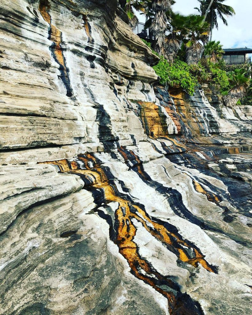 Nature is weird sometimes. I call this “natural tiger stripes”