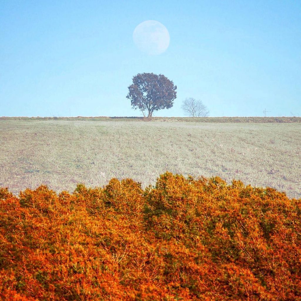 Dices que vengo, que voy Que siento, que escucho, que pertenezco Que sirvo para&hellip;