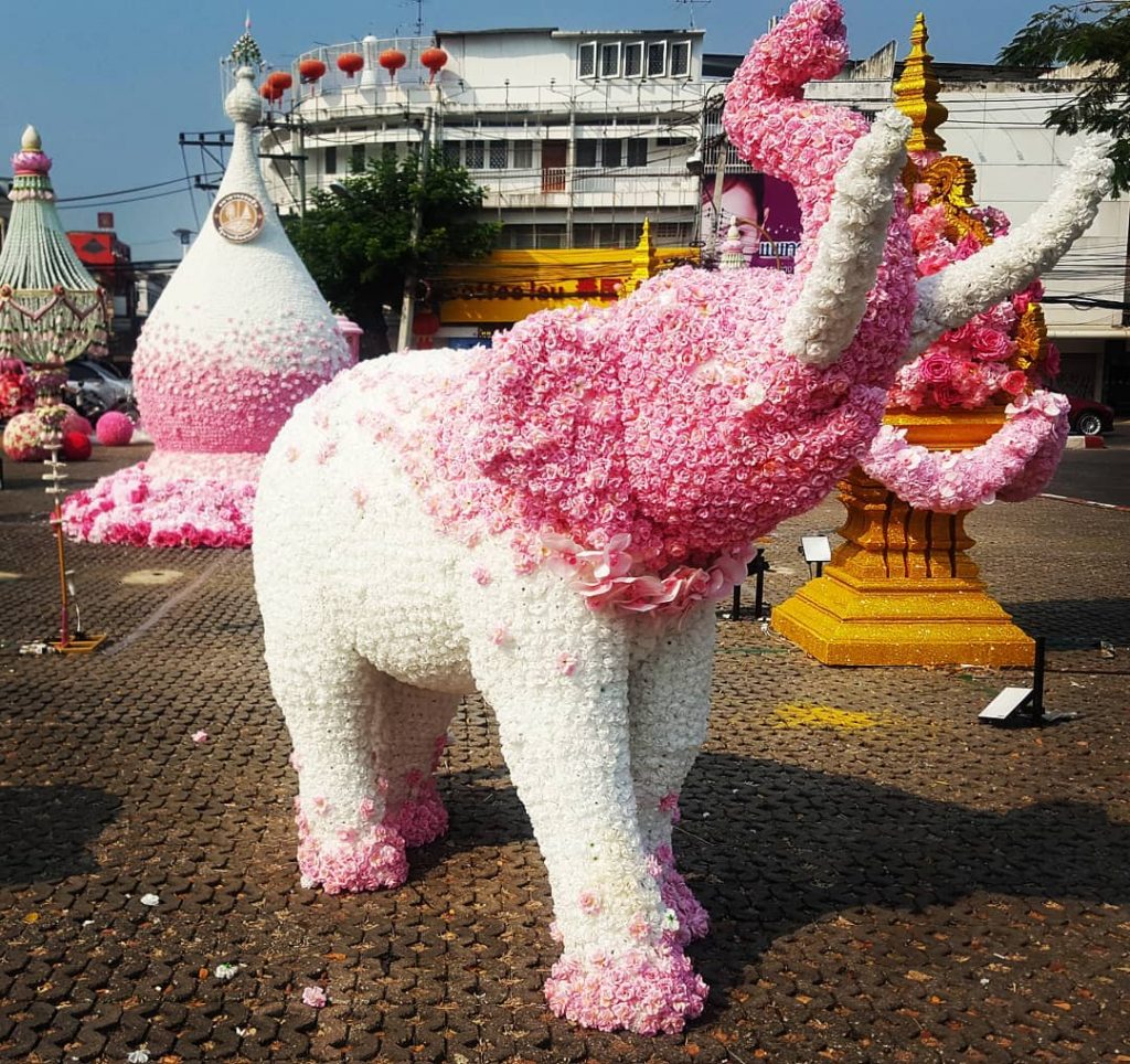 My Chiang Mai spirit animal #travelbug #travelling #travelphotography #travelgram #traveller #travel #backpacking #backpacker #nomad&hellip;