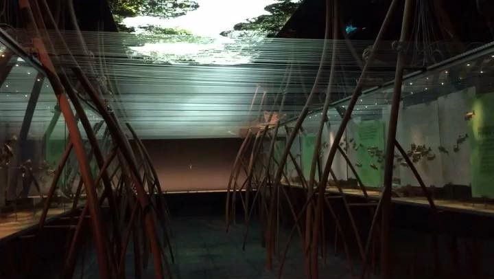 Into nature @centroleonrd #girlaroundworld #mytravelmood #iamtb #traveldreamseekers #discoverearth #femmetravel #iammissadventure #bnesimppl