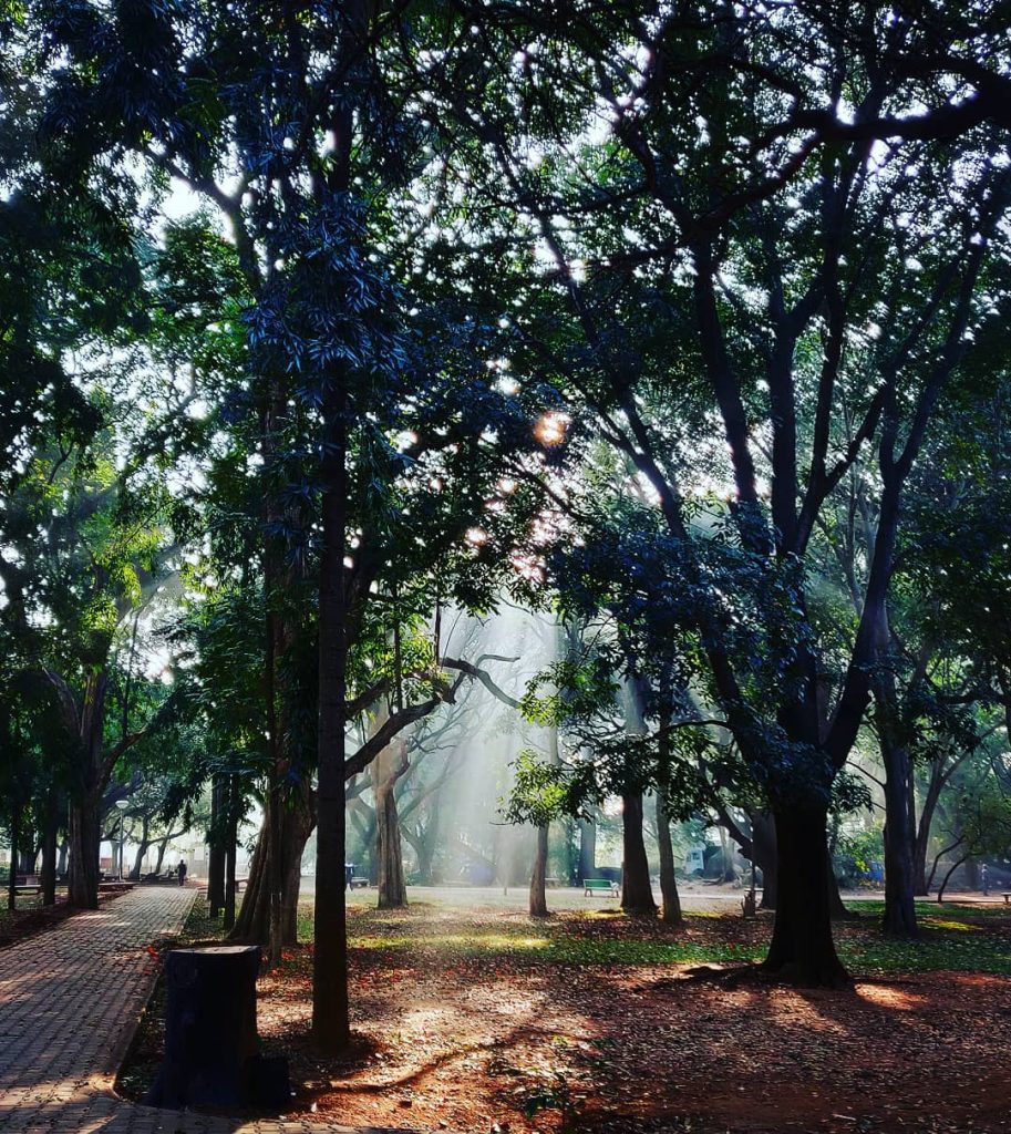 Let there be . @travelstagram__ #bnesimppl . . #peaceandlove #peaceful #peacefulmorning #morningmotivation #motivation #walktoremember&hellip;