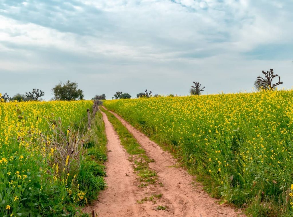 Path to #Jaw_dropping_shots  #Thebest_capture #Special_shots  #big_shotz  #main_vision  #photooftheday  #allbeauty_addiction #wonderful_places  #hubs_united  #global_hotshotz  #travelholic #travelphotography &hellip;