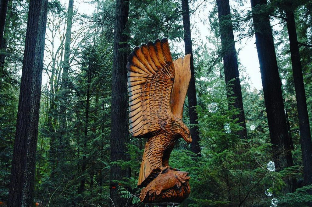 Spread your wings ????