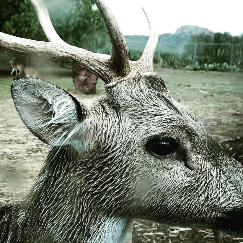 Ya se los pueden quitar o se los van a dejar? ???? . .&hellip;