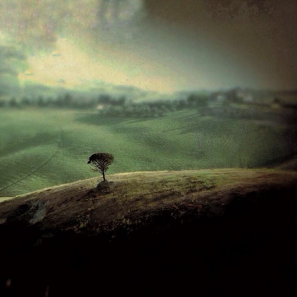 #fotoartistiche #traveldestinations_ig #bnesimppl #fotartplgz #pierluigizag Edited with: @carbonblackandwhite _ #landscape #amazing #view #trip #tree&hellip;