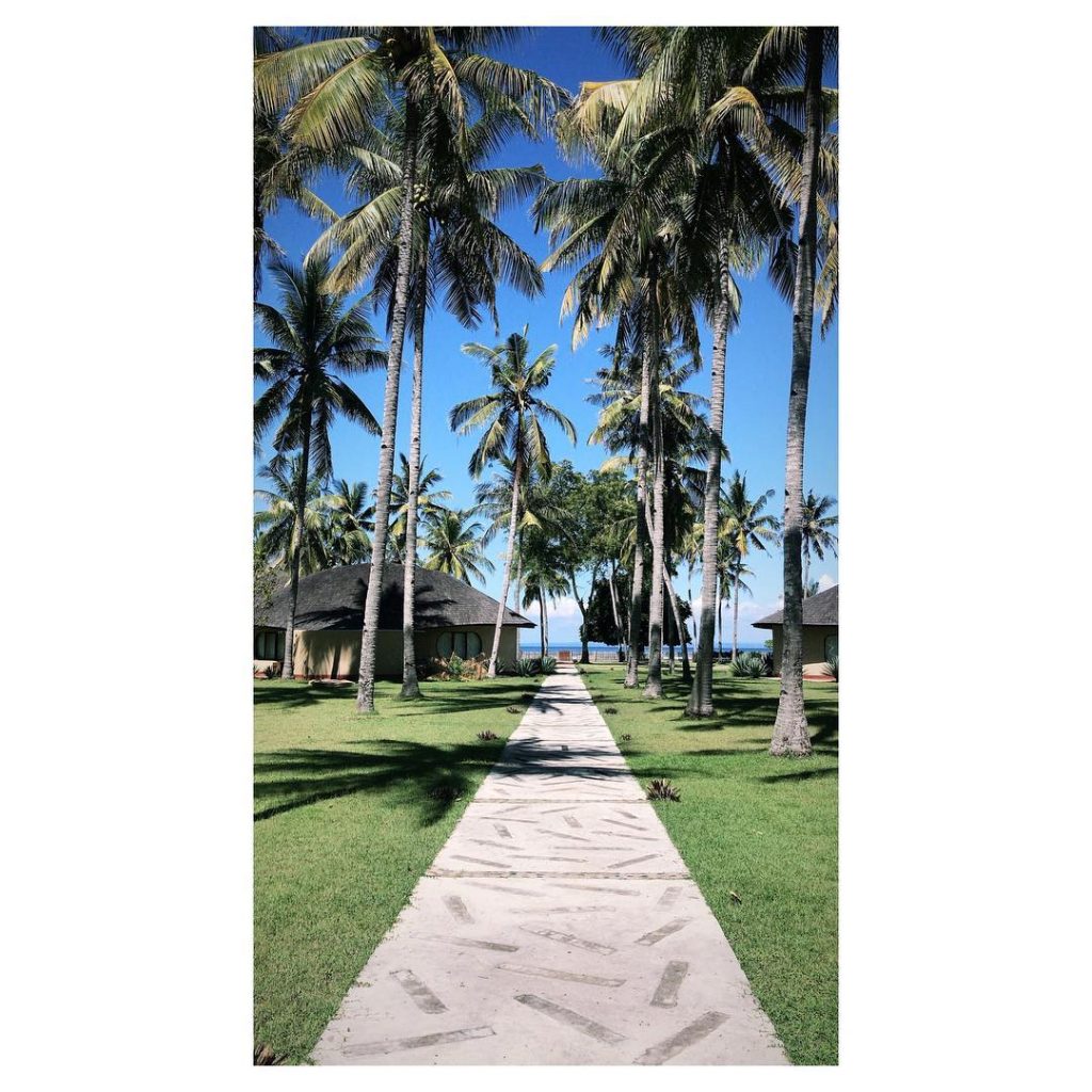 Whales & Waves! We arrived in the evening and when we opened the door&hellip;