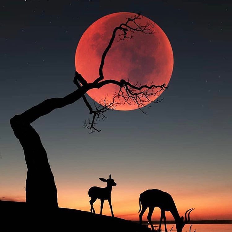 South Africa #sunset #beautiful #africa #TIA