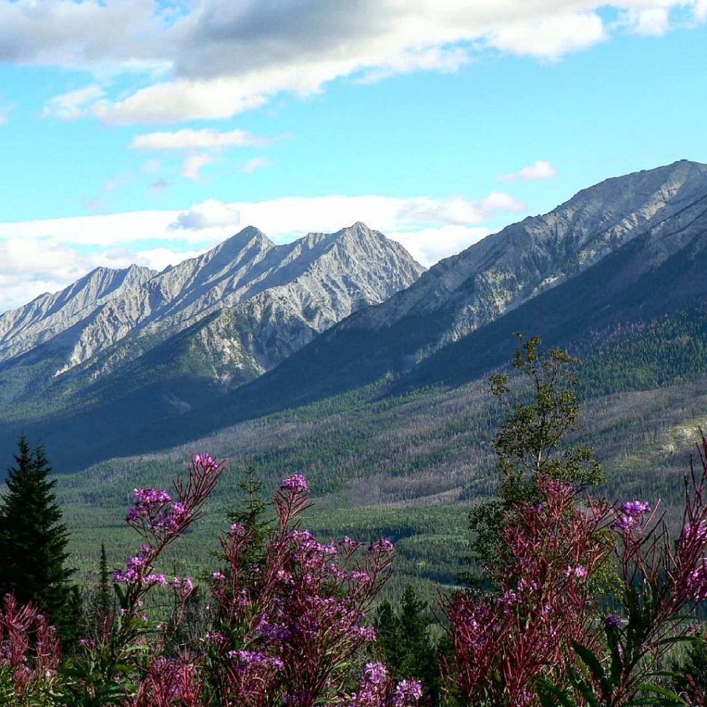 The stunning beauty of the Canadian Rockies. . . . . . . #openmyworld&hellip;
