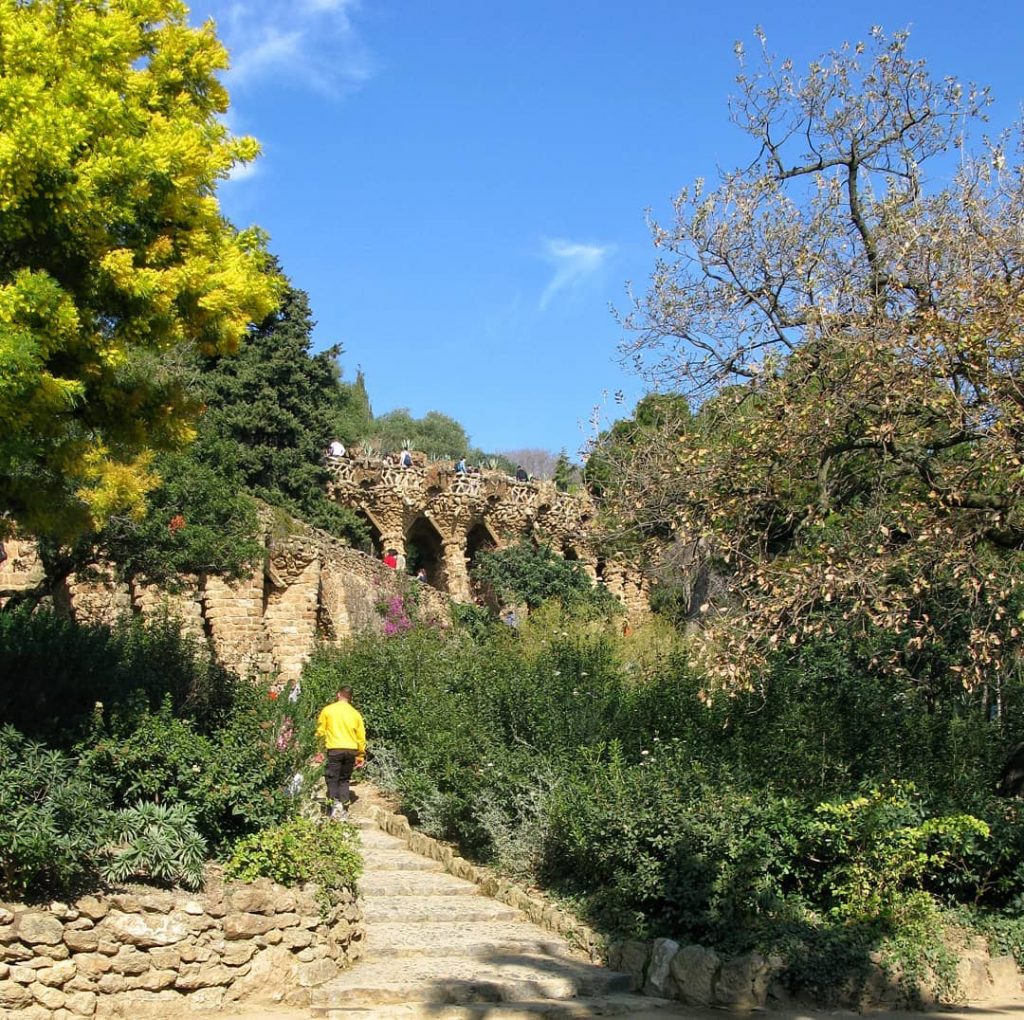 Mr. Yellow #parkguell #barcelona #travel #catalunya #españa #montserrat #bcn #photography #love #instagood #marbella #photooftheday&hellip;