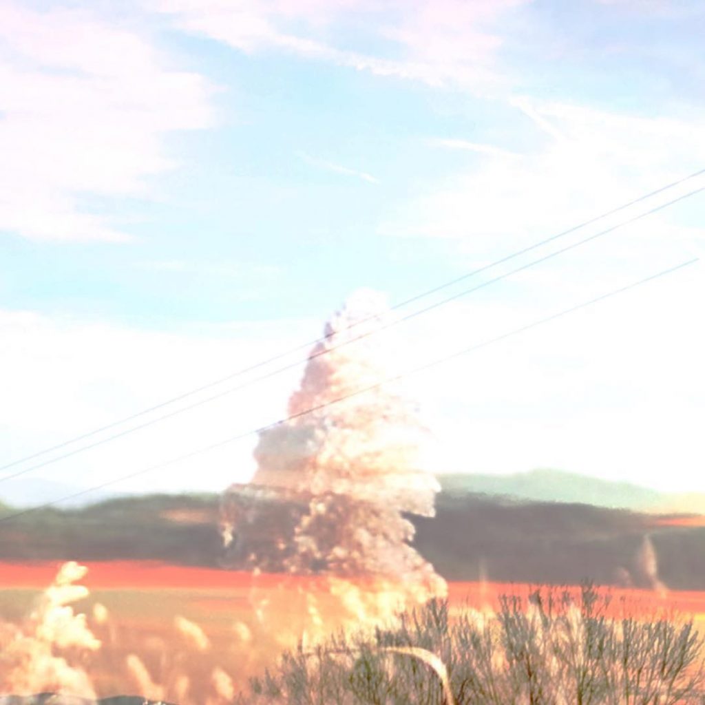 Destacas por tu simplicidad aparente, aunque la sabia densa que te recorre se compone&hellip;