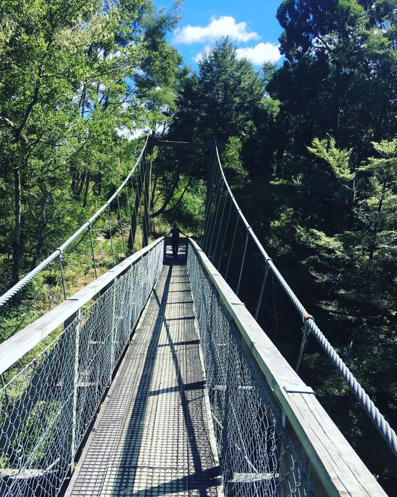 Pelorus Bridge, New Zealand #csmidlifegapyear #memories #travel #travelblogger #travelbug #tbt #photo #adventure #amemoryaday #photooftheday&hellip;