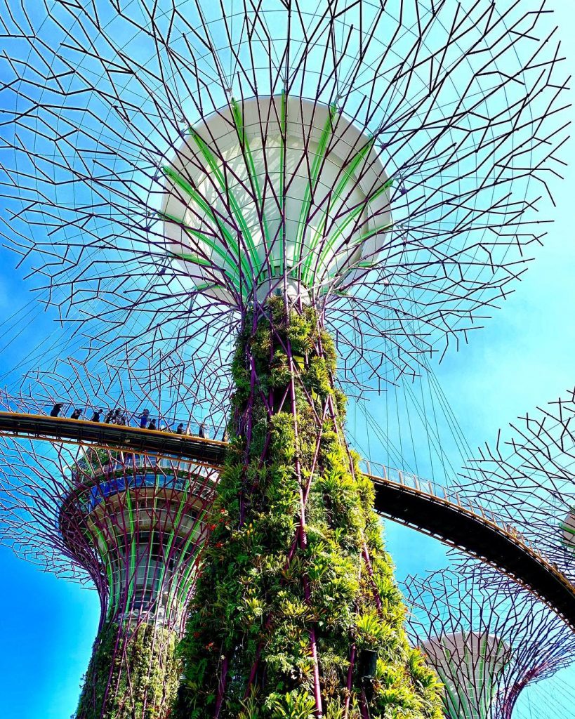 The future is here ???????? . . . . . . #supertree #gardensbythebay #singapore&hellip;