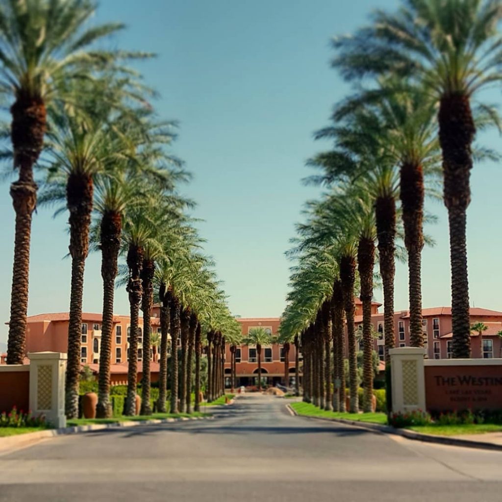 Wanna find yourself a paradise?. . . . . . #westinlakelasvegas #lakelasvegas #marriott #hotel&hellip;