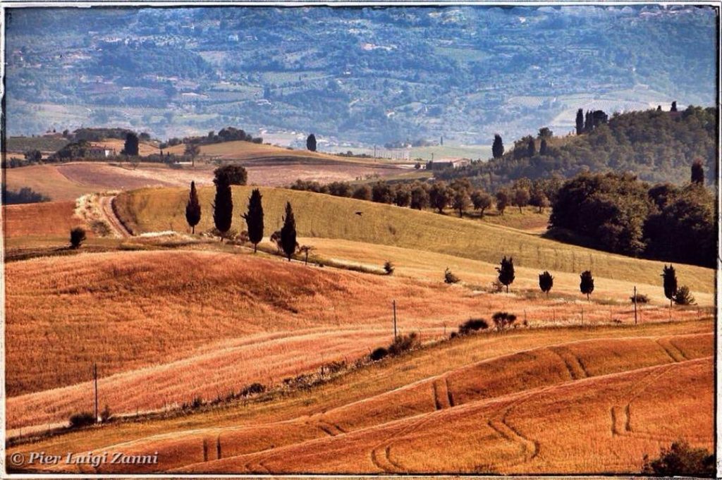 #fotoartistiche #bnesimppl #fotartplgz #pierluigizag Edited with: @carbonblackandwhite _ #landscape #amazing #view #trip #tree #sky&hellip;