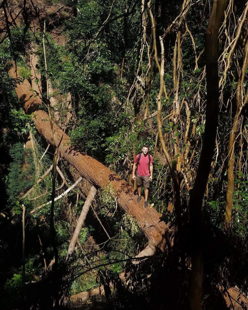 “I am not what happened to me, I am what I choose to become.”