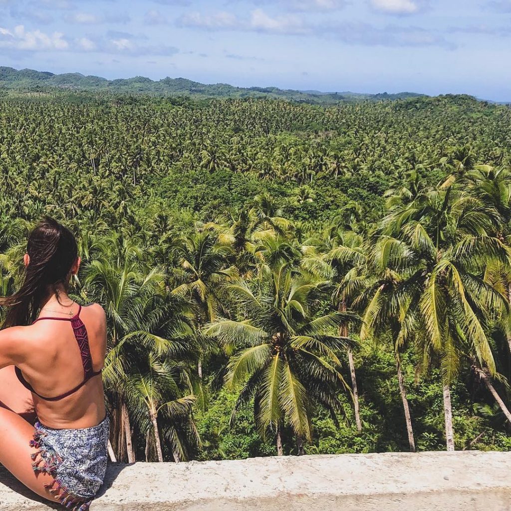 ️[PALMS] Sea of coconuts ! • • • #philippines #siargao #travel #asia #southeastasia #iloveasia&hellip;