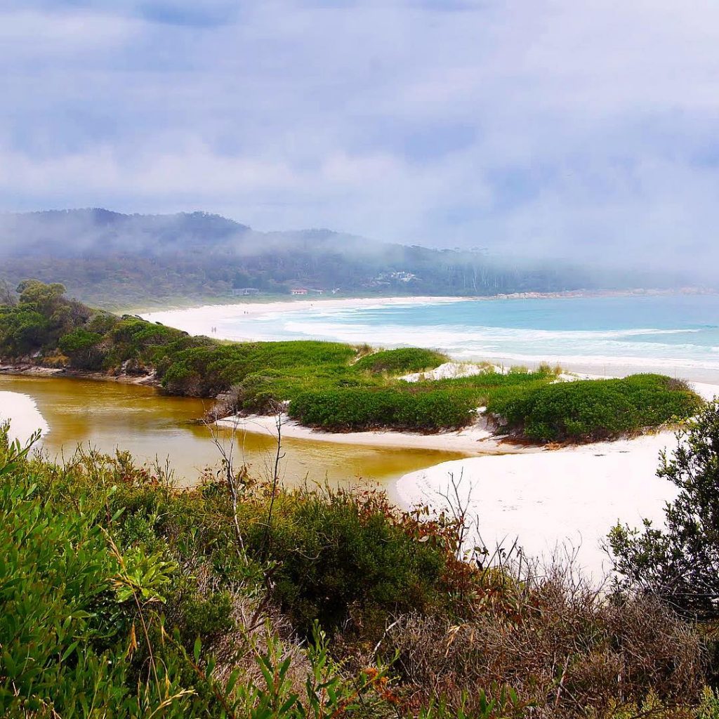White sandy beach in Tasmania #tasmania #australia #whitesand #bnesimppl #beach #sea #nature #naturephotography #travel&hellip;